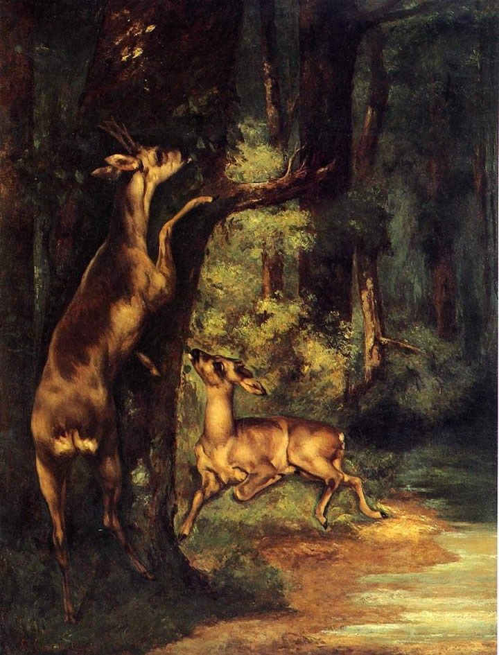 Gustave Courbet Male and Female Deer in the Woods